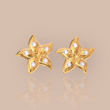 Load image into Gallery viewer, Cz Starfish Earrings
