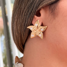 Load image into Gallery viewer, Cz Big Starfish Earrings Gold Trendy Jewelry 2024 Summer Beach 
